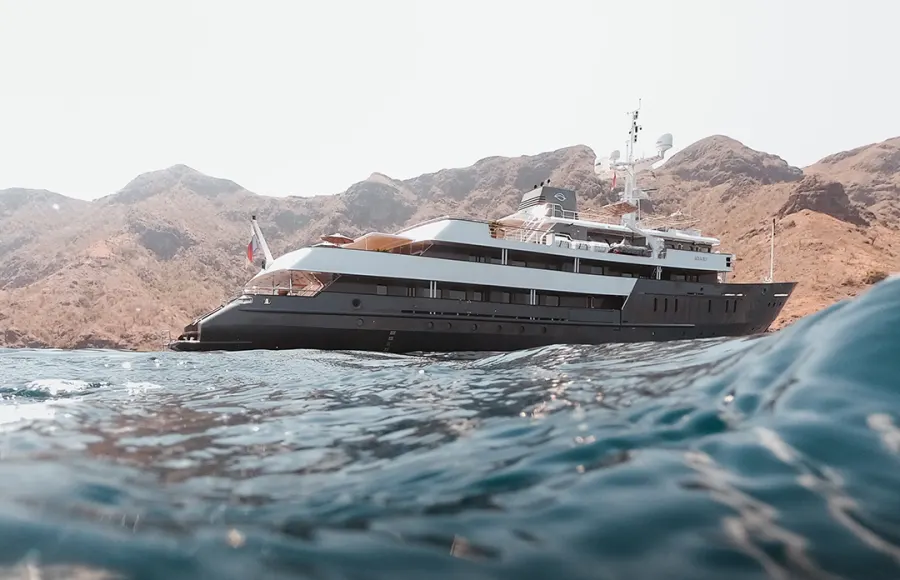 Cruises